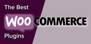 Top 2 Essential WooCommerce Plugins By Addify In 2024