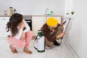 Best Pest Inspection Services in Melbourne