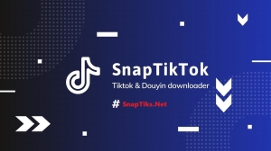 SnapTik | TikTok Video Download Without Watermark Online