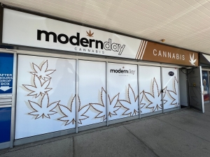 Weed Dispensary in Scarborough: A Comprehensive Guide