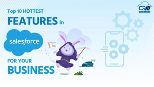 10 Hottest Salesforce Features to Simplify Your Business Tasks