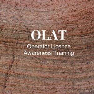 The Benefits of Taking an Online Olat Course