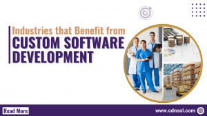 Industries that Benefit from Custom Software Development