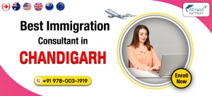 Achieve Your Immigration Dreams with Top Consultants in Chandigarh