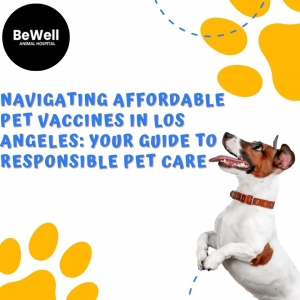 Navigating Affordable Pet Vaccines in Los Angeles: Your Guide to Responsible Pet Care