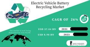 Electric Vehicle Battery Recycling Market Growth & Industry Forecast 2031