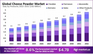 Food Cheese Powder Market Capitalizes on Convenience Food Boom