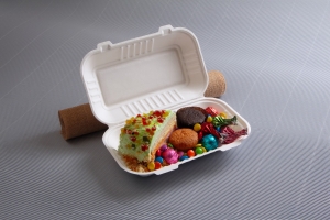 Why Bagasse Containers are the Future of Sustainable Food Packaging