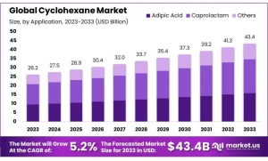 Cyclohexane Market Segmentation: Applications and End-Use Analysis