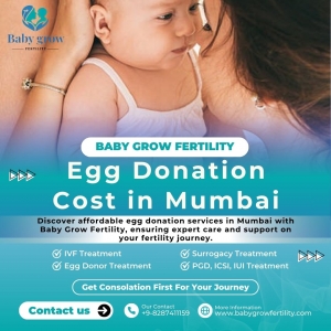 Egg Donation Cost in Mumbai: Insights from Baby Grow Fertility