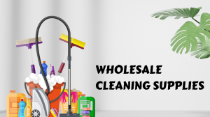 Tips To Save on Wholesale Cleaning Supplies for Your Business