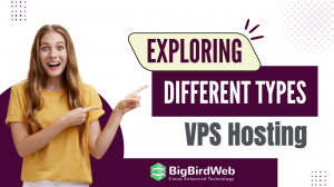 Exploring the Different Types of VPS Hosting- BigBirdWeb