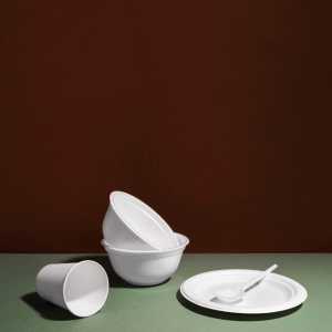 Aesthetic and Eco-Friendly: Designing Modern Tableware with Sugarcane Bagasse