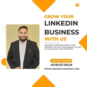 Leveraging LinkedIn Management for Business and Management Consultants