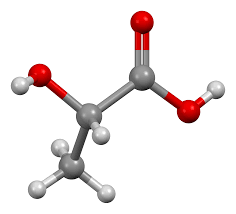 Lactic Acid Market Overview, Growth, Trends, Analysis and Forecast by 2031