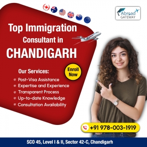 A Detailed Look of Best Visa Consultants in Chandigarh 