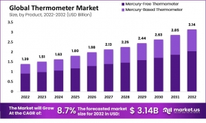 Thermometer Market: Consumer Preferences