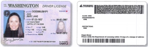 Fake Driver License Maker: Create Authentic-Looking IDs 