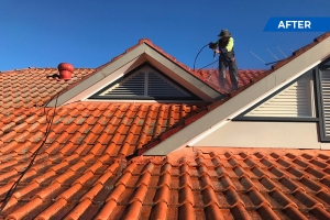 Why is itcrucial to maintain cleanterracotta roof tiles?