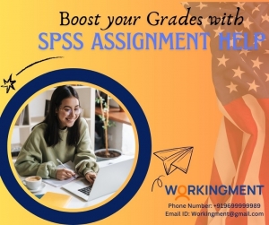 Why should students take SPSS Assignment Help?