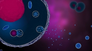 Exosome Diagnostics and Therapeutics Market Growth, Size and Forecast by 2031