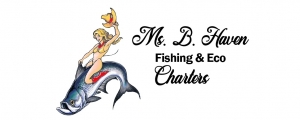 What are the Additional Perks of Offshore Fishing Charters?