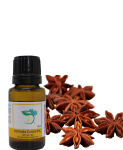 Discover the Benefits of Star Anise Organic Essential Oil