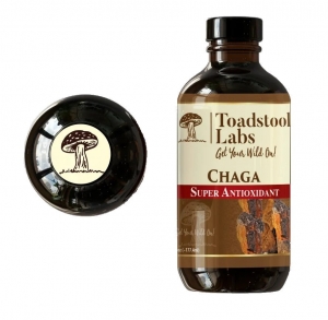 Exploring the Advantages of Chaga and Reishi Mushrooms: Harnessing the Power of Nature