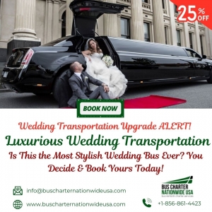 Luxury on a Budget? This Wedding Bus Rental is a Game Changer!