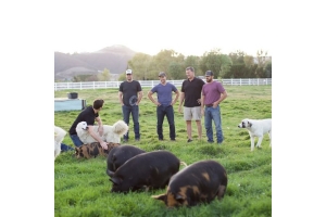 Start at the Source: How to Choose Nutritious, Ethical Meat