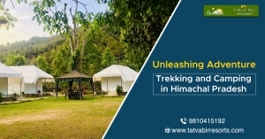 Unleashing Adventure: Trekking and Camping in Himachal Pradesh