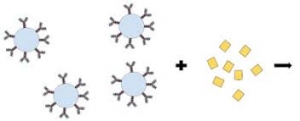 Particle Enhanced Tubidimetric Immunoassay (PETIA) Market Report 2024-2032