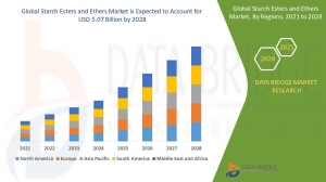 Starch Esters and Ethers Market  Challenges: Growth, Share, Value, Size, and Scope