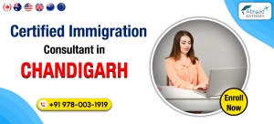 Top Tips for Choosing an Immigration Consultant in Chandigarh