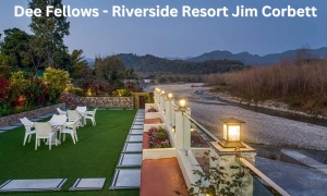 Discover Tranquility: Top Reasons to Stay at Riverside Resort Jim Corbett