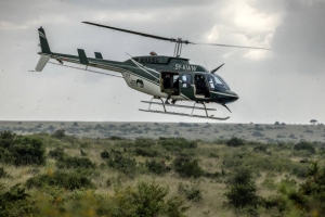 The Role of Kenya Wildlife Service in Conservation and Community Engagement