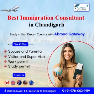 Best Tips for Selecting Visa Advisors in Chandigarh