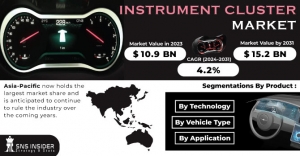 Instrument Cluster Market Share: Market Performance Evaluation, Growth Projections, and Strategic Planning