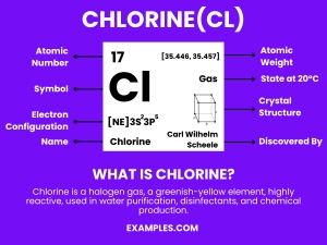 In-Depth Analysis of Chlorine Market: Exploring Size, Latest News,  Trends & Opportunities