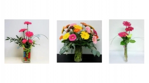 Are Bouquet Gerbera Daisies the Perfect Choice for Your Occasion?