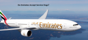 Do Emirates Accept Service Dogs ?