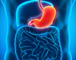 The Global Gastric Motility Disorder Drug Market is In Trends by Increasing Prevalence of Functional Dyspepsia 