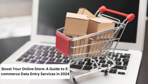 Boost Your Online Store: A Guide to E-commerce Data Entry Services in 2024