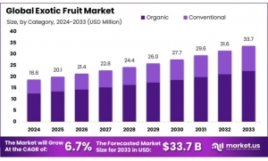 Exotic Fruit Market Strategies: How Retailers are Adapting to Changing Tastes