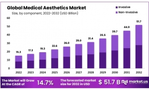 Medical Aesthetics Market: Economic Impact and Market Dynamics