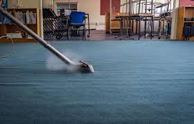 Why You Should Never Skip Professional Carpet Cleaning