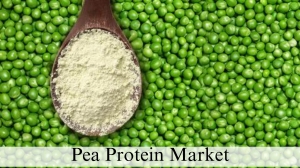 Pea Protein Market Size, Growth and Report Through 2032