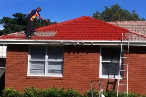 Roof Painters Sydney NSW: Expert Painting Services for Your Roof