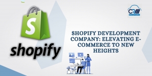 Shopify Development Company: Elevating E-commerce to New Heights