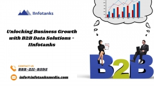 Unlocking Business Growth with B2B Data Solutions — IInfotanks